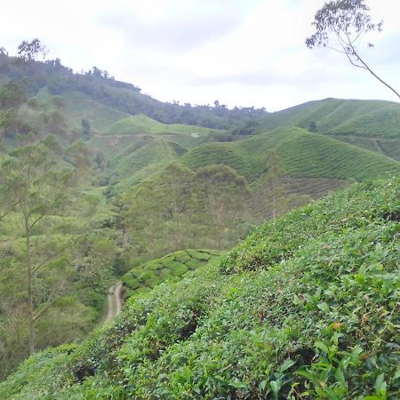 Netasha Holiday Inn And Apartment Cameron Highlands Dış mekan fotoğraf