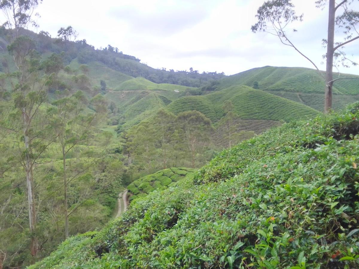 Netasha Holiday Inn And Apartment Cameron Highlands Dış mekan fotoğraf