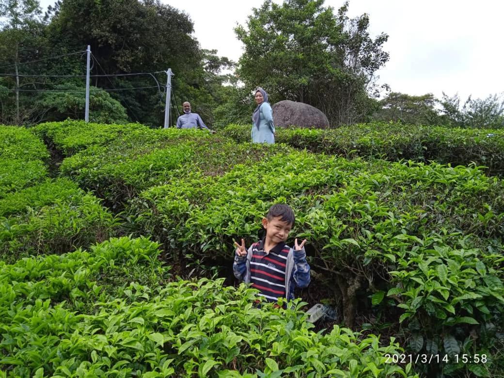 Netasha Holiday Inn And Apartment Cameron Highlands Dış mekan fotoğraf