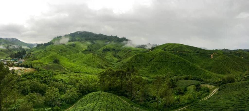 Netasha Holiday Inn And Apartment Cameron Highlands Dış mekan fotoğraf