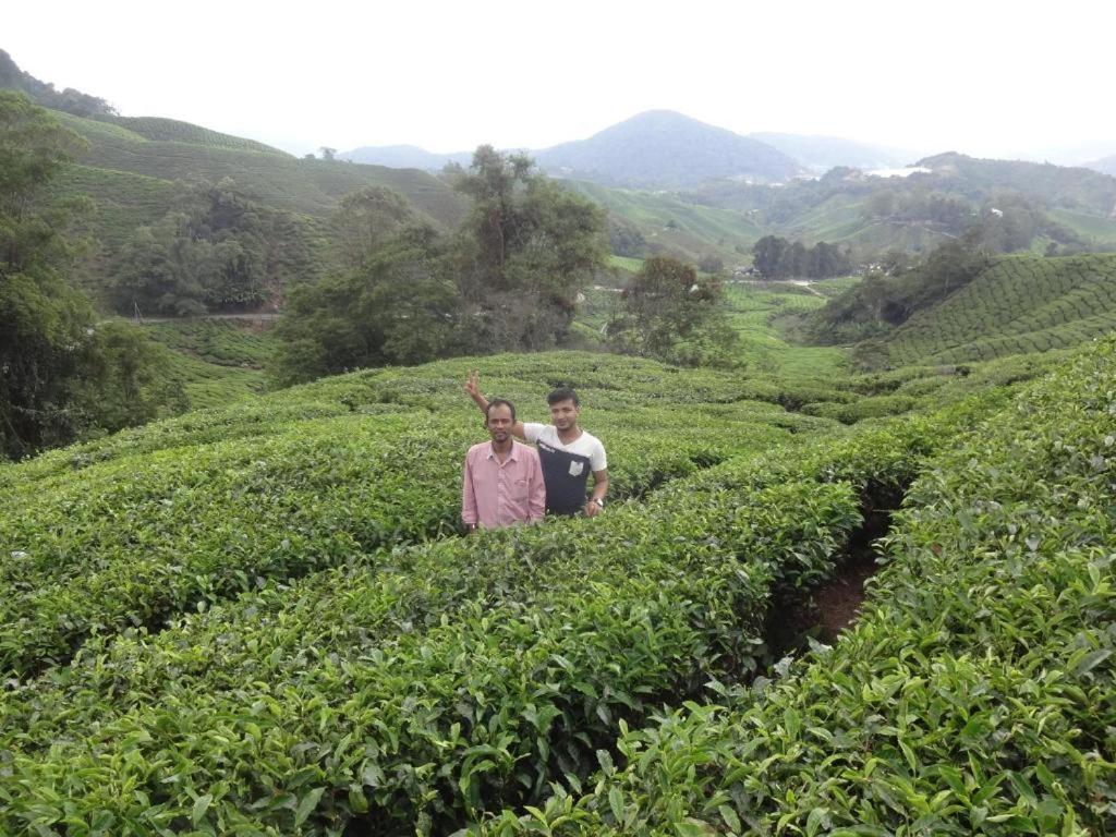 Netasha Holiday Inn And Apartment Cameron Highlands Dış mekan fotoğraf