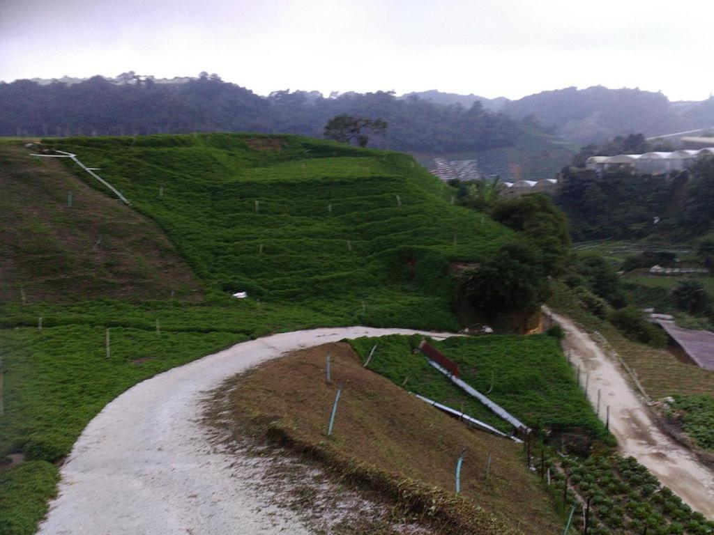 Netasha Holiday Inn And Apartment Cameron Highlands Dış mekan fotoğraf