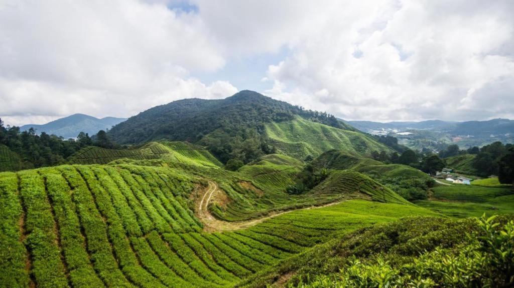 Netasha Holiday Inn And Apartment Cameron Highlands Dış mekan fotoğraf